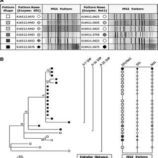 Traceback diagram for multistate outbreak of Vibrio parahaemolyticus ...