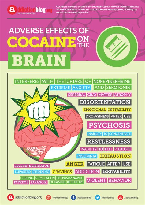 Infographic Nervous System