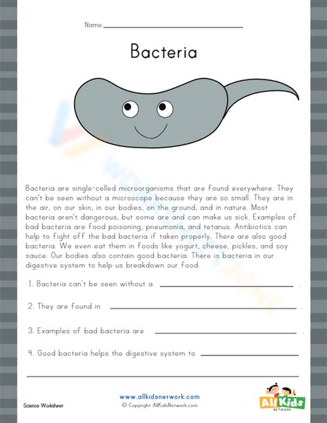 Bacteria Worksheet