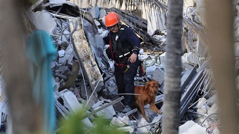 Surfside condo collapse rescue: How dogs search for survivors | Fox News