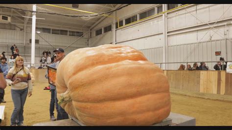 Giant pumpkin weighing 2,480 pounds breaks Topsfield Fair record - CBS Boston