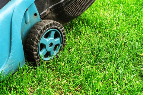 Finding the Best Lawn Mower for Bermuda Grass in 2024