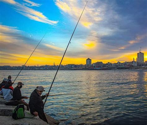 #Gaza sea port in the morning🇵🇸 - The World for Palestine