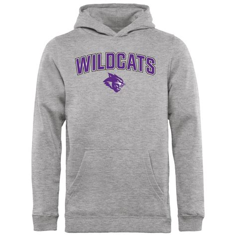 Abilene Christian University Wildcats Youth Ash Proud Mascot Pullover ...