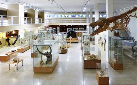 Athens University Opening Its Museums to the Public - Greece Is