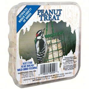 C&S Cherry Treat Suet Cake - Wild Bird Habitat Store