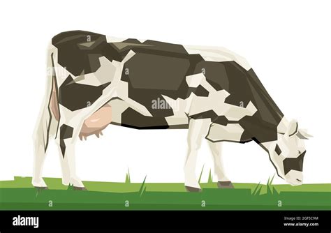 Holstein friesian cow Stock Vector Images - Alamy