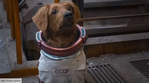 Guardians of the Galaxy — who is Cosmo the Spacedog?