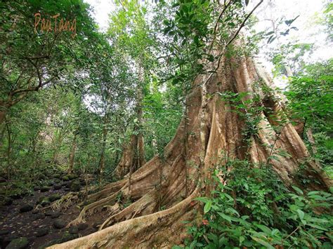 20 Vietnam Forests, Mountains & Nature Attractions For Thrilling Getaways