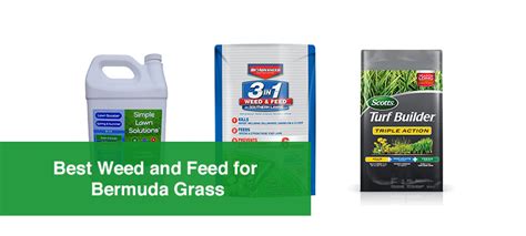 11 Best Weed and Feed for Bermuda Grass - An Ultimate Guide for 2022