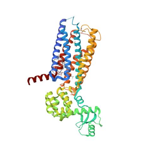 GLP-1 receptor | Glucagon receptor family | IUPHAR/BPS Guide to PHARMACOLOGY