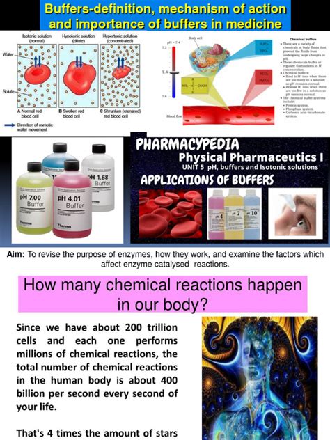 Buffer Systems definition, mechanism of action and importance in medicine | PDF