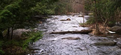 Stockbridge-Munsee Band of Mohican Indians | Native Northeast Portal