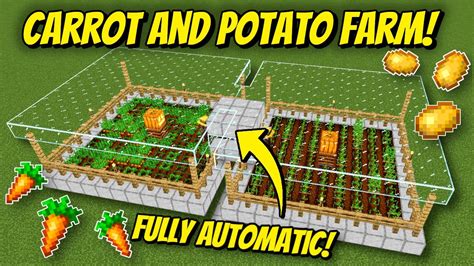 Automatic Potato Farm Minecraft No Villager - Nicholas Bailey