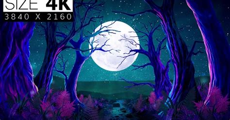 Moonlight In Forest, Stock Video - Envato Elements