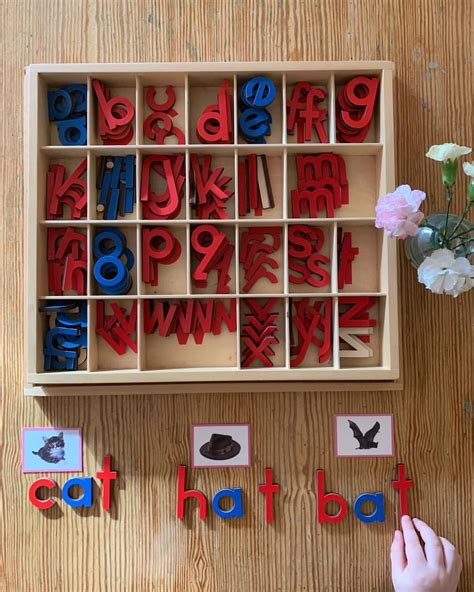 Montessori 3-6 Language: Moveable Alphabet with Pink Series | Alphabet activities preschool ...