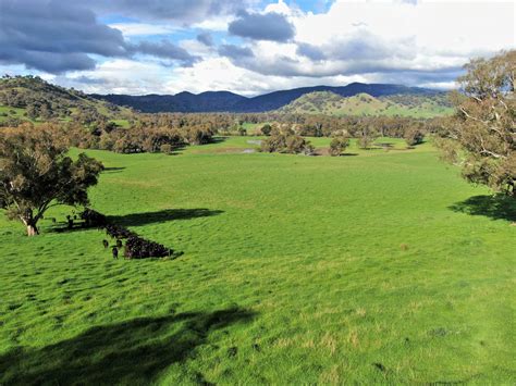 330 Quidong Road, Tumut NSW 2720 - Sold Rural & Farming | Commercial ...