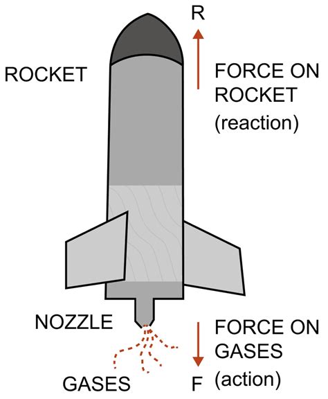 Explain the motion of a rocket with the help of Newton’s | KnowledgeBoat