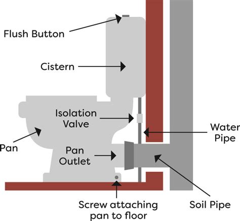 How To Install A New S Trap Toilet Installation - jmlasopa