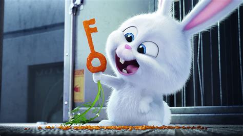 White rabbit cartoon character HD wallpaper | Wallpaper Flare