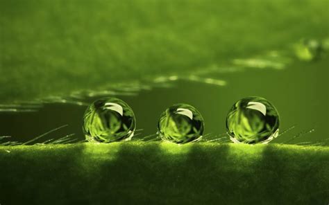 water, Drops, Macro Wallpapers HD / Desktop and Mobile Backgrounds