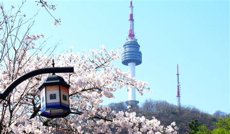 N Seoul Tower (Namsan Tower) Observatory Ticket in Korea - Trazy, Korea ...