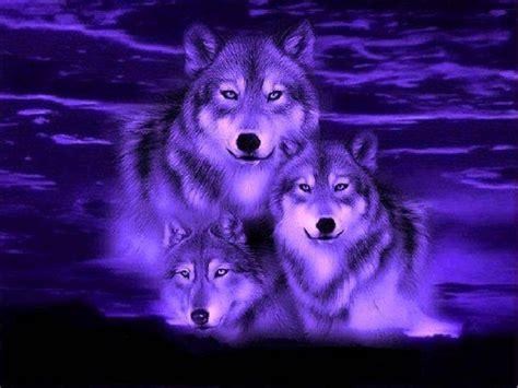 Blue Wolf Fantasy Wallpaper - Best HD Wallpapers | Wolf spirit animal, Wolf love, Wolf pictures