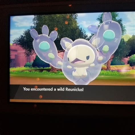 [VIII] Shiny Reuniclus after accidentally running into as he spawned. No Charm at the time ...