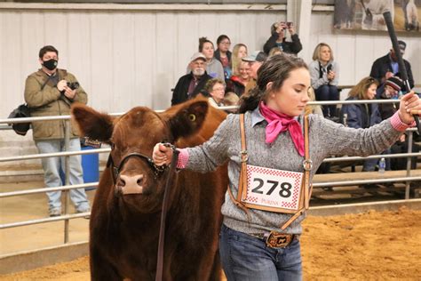 PHOTOS: 2021 Erath County Jr. Livestock Show – Beef Cattle – The Flash Today || Erath County