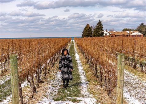 The Best Wineries in Niagara On The Lake · Poor In A Private Plane