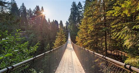 Capilano Suspension Bridge tickets | musement