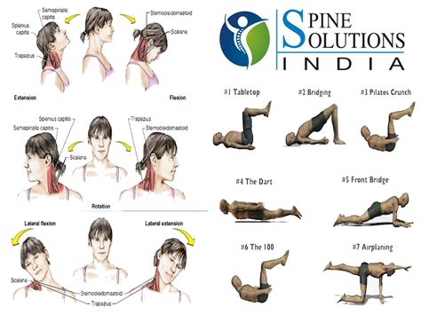 Spine Solutions India by Dr Sudeep Jain: Exercises for Rehabilitation ...