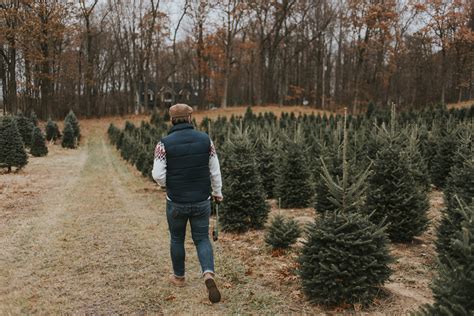 The Christmas tree farm — Selective Potential