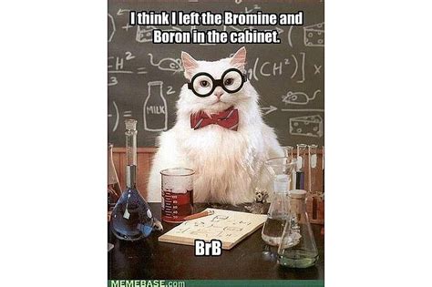 Best of Chemistry Cat - Science Meme