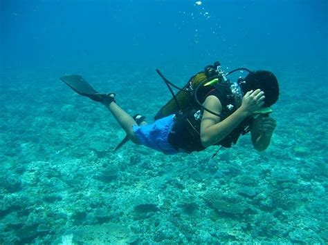 Scuba diving (640×480) | Lakshadweep, Lakshadweep islands, Weather in india