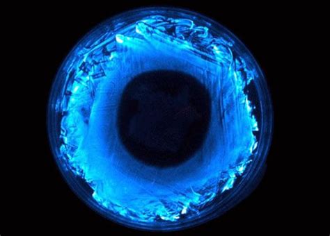 Bioluminescent Bacteria | Science, Space & Innovation | Pinterest