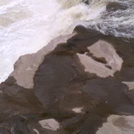 Ohiopyle State Park Camping | Dunbar, PA | The Dyrt