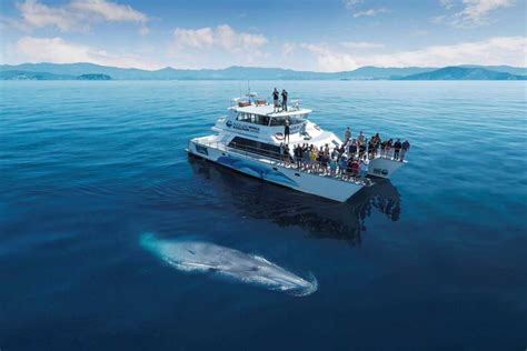 New Zealand Family Vacation | 14 Day New Zealand Private Tour