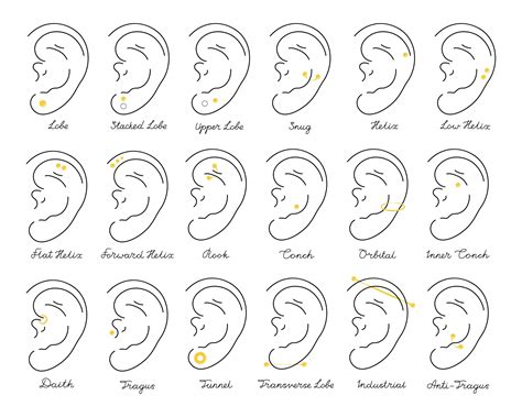 Some of the most popular types of ear piercings and their names - So Scene