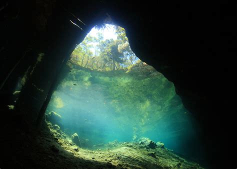 Dive Site: Ginnie Springs, Florida • Scuba Diver Life