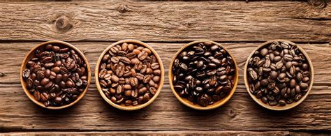 Arabica Beans vs Robusta Beans. What’s the Difference? - Perk Coffee Singapore