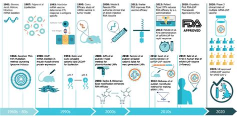 mRNA Vaccine - Applications - TransGen Biotech Co., LTD