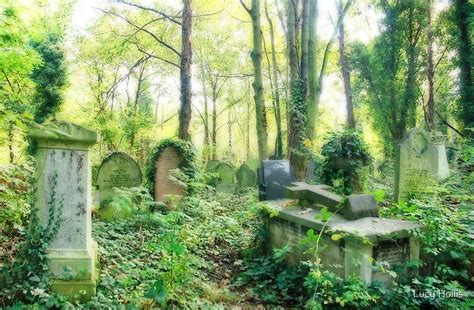 "Abney Park Cemetery" by Lucy Hollis | Redbubble