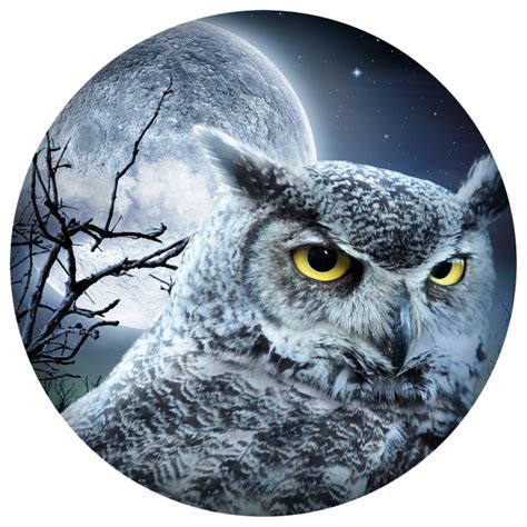 Owl Moon Wall Art, 12" - Rustic - Metal Wall Art - by Next Innovations | Houzz