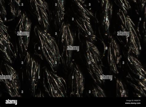 Black nylon mesh cloth fibers under the microscope Stock Photo - Alamy