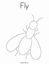 Fly Coloring Page  Twisty Noodle sketch template