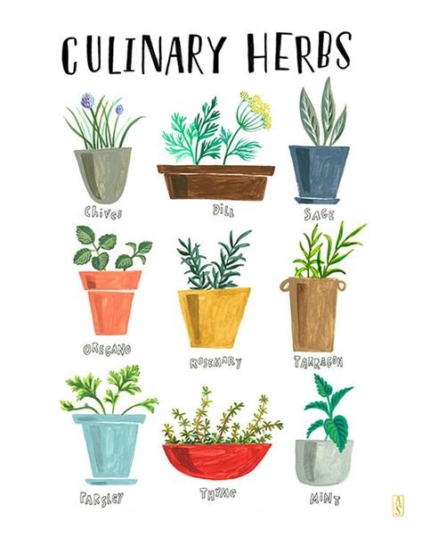 Culinary Herbs Print Herb Print Herb Art Kitchen Print | Etsy | Herb ...