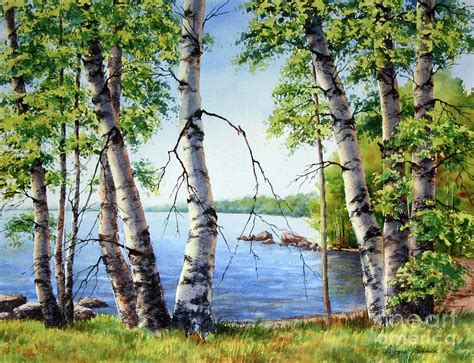 Birch trees on Long Lake Painting by Varvara Harmon - Pixels