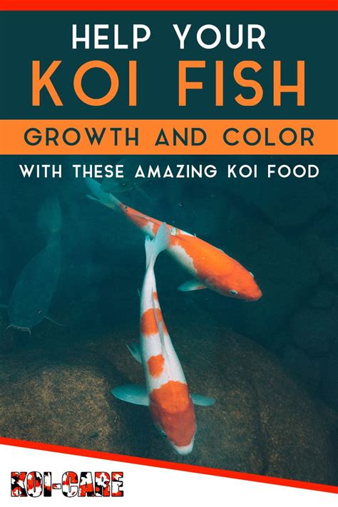 best koi food for color and growth | Koi, O fish, Color