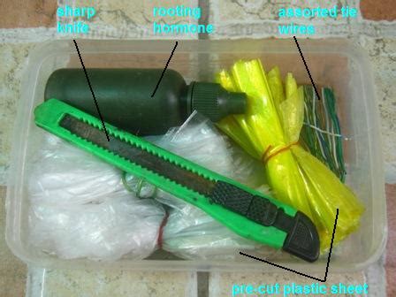 Practical Gardening: Air Layering Kit and Propagation Tips